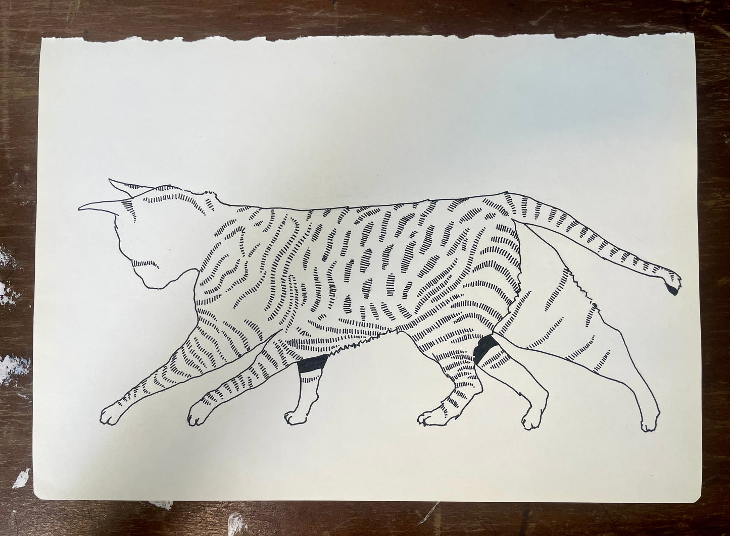 ELENA BOSQUET - Original Gato Múltiples Axiles