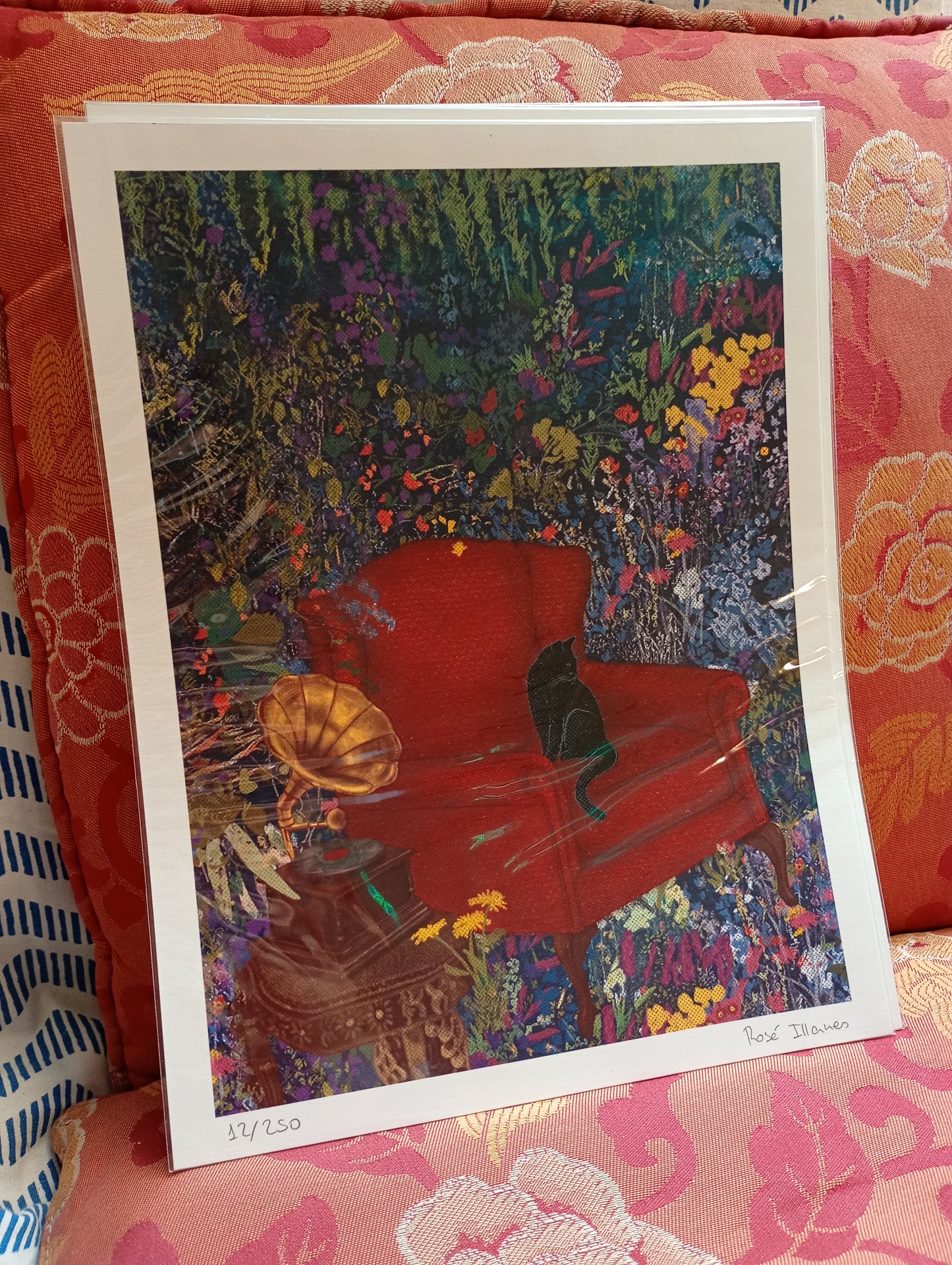 ROSÉ ILLANES - Print gatito negro sofá