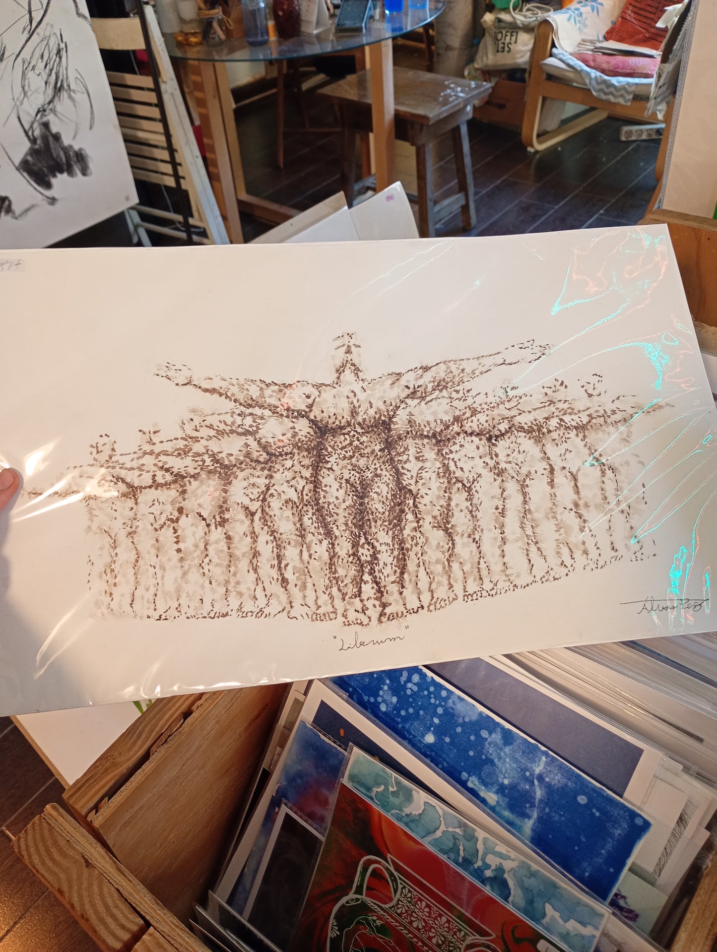 ÁLVARO PEÑA - Liberum