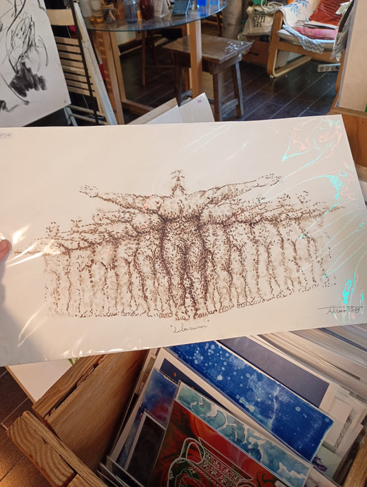 ÁLVARO PEÑA - Liberum