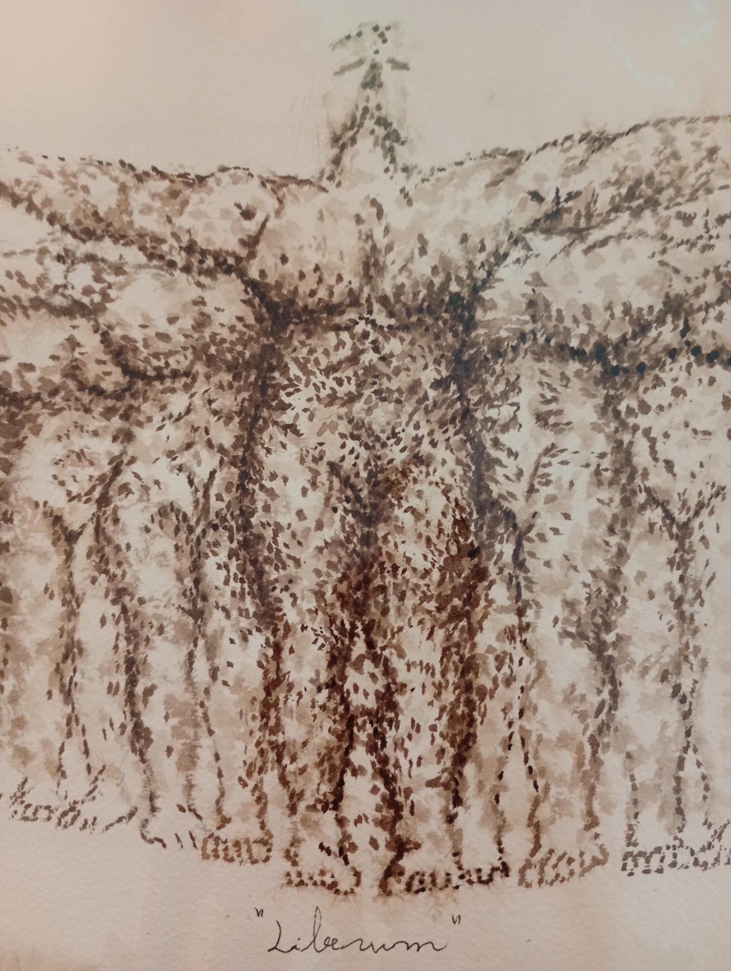 ÁLVARO PEÑA - Liberum