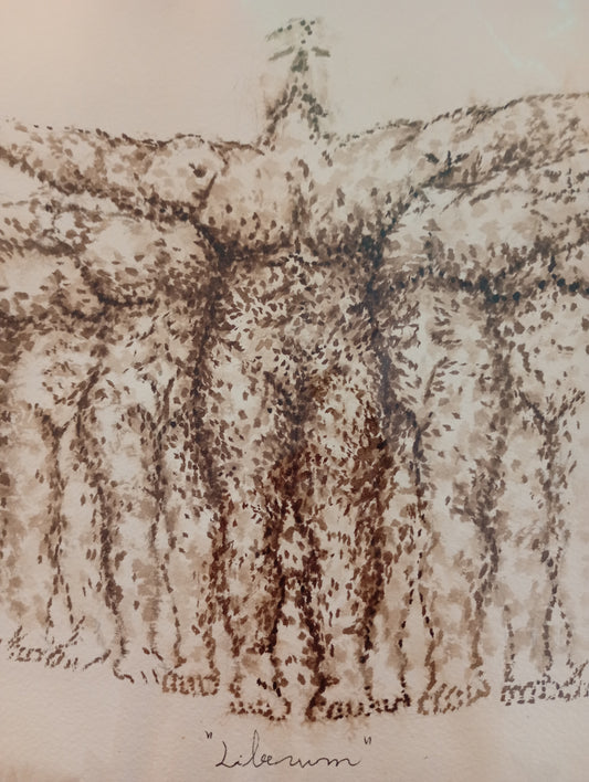 ÁLVARO PEÑA - Liberum