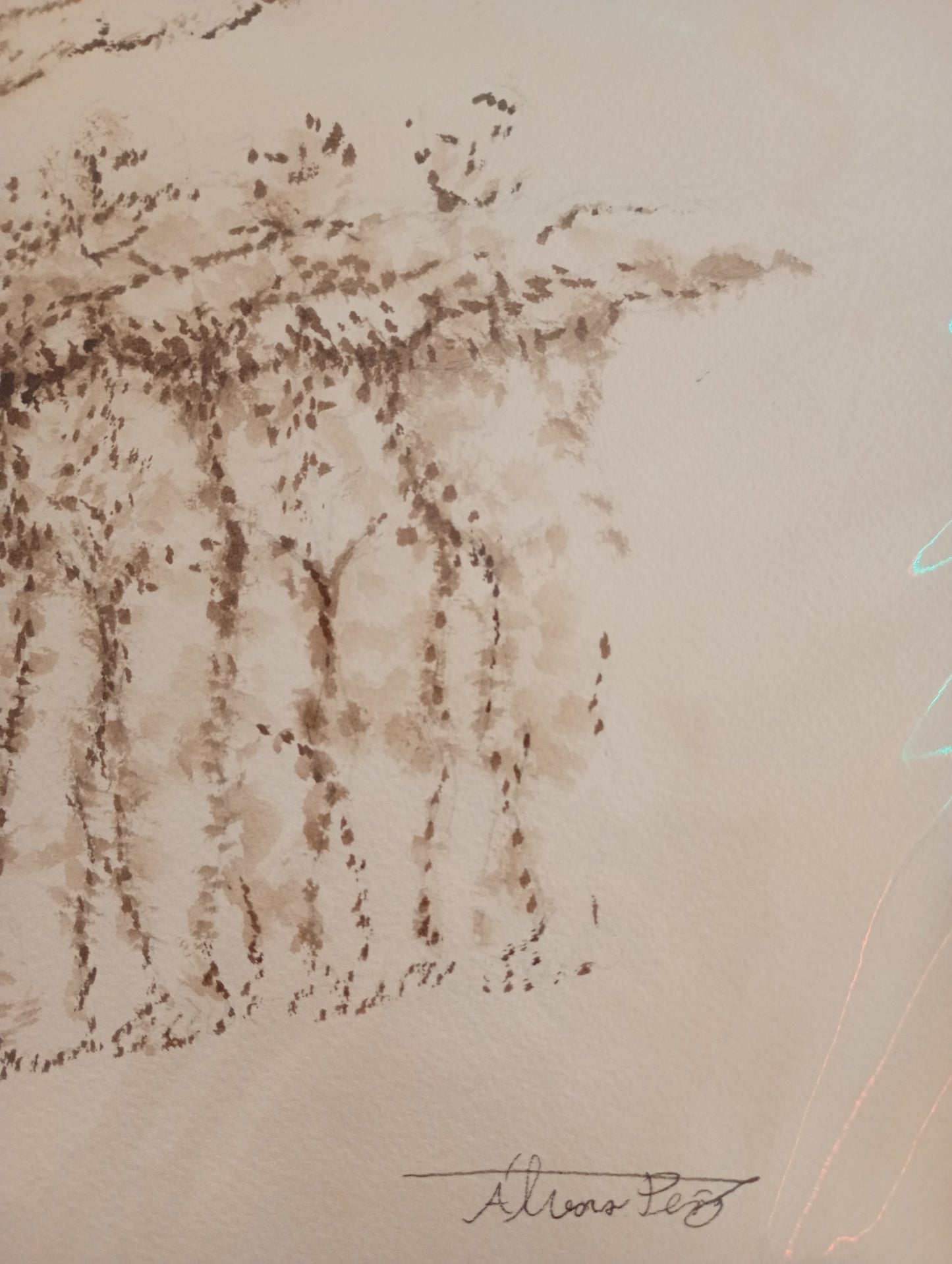 ÁLVARO PEÑA - Liberum