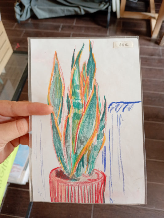 MARTA HERBALLÁN - Lengua de suegra