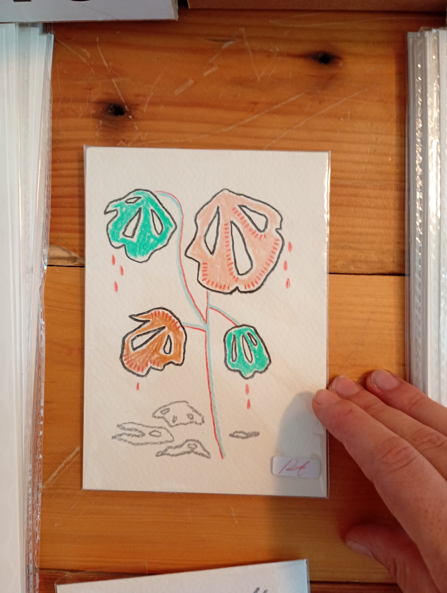 ELENA BOSQUET - Original costilla